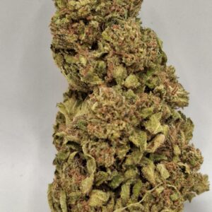 Mimosa CBD