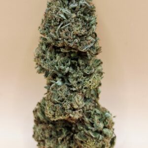 Cakeberry Brûlée CBD Bio