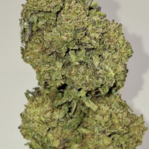 Donuts CBD Bio