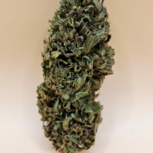 Mazzal Kush CBD Bio