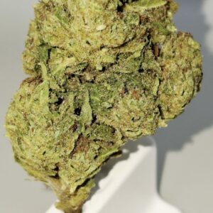Plutonium CBD