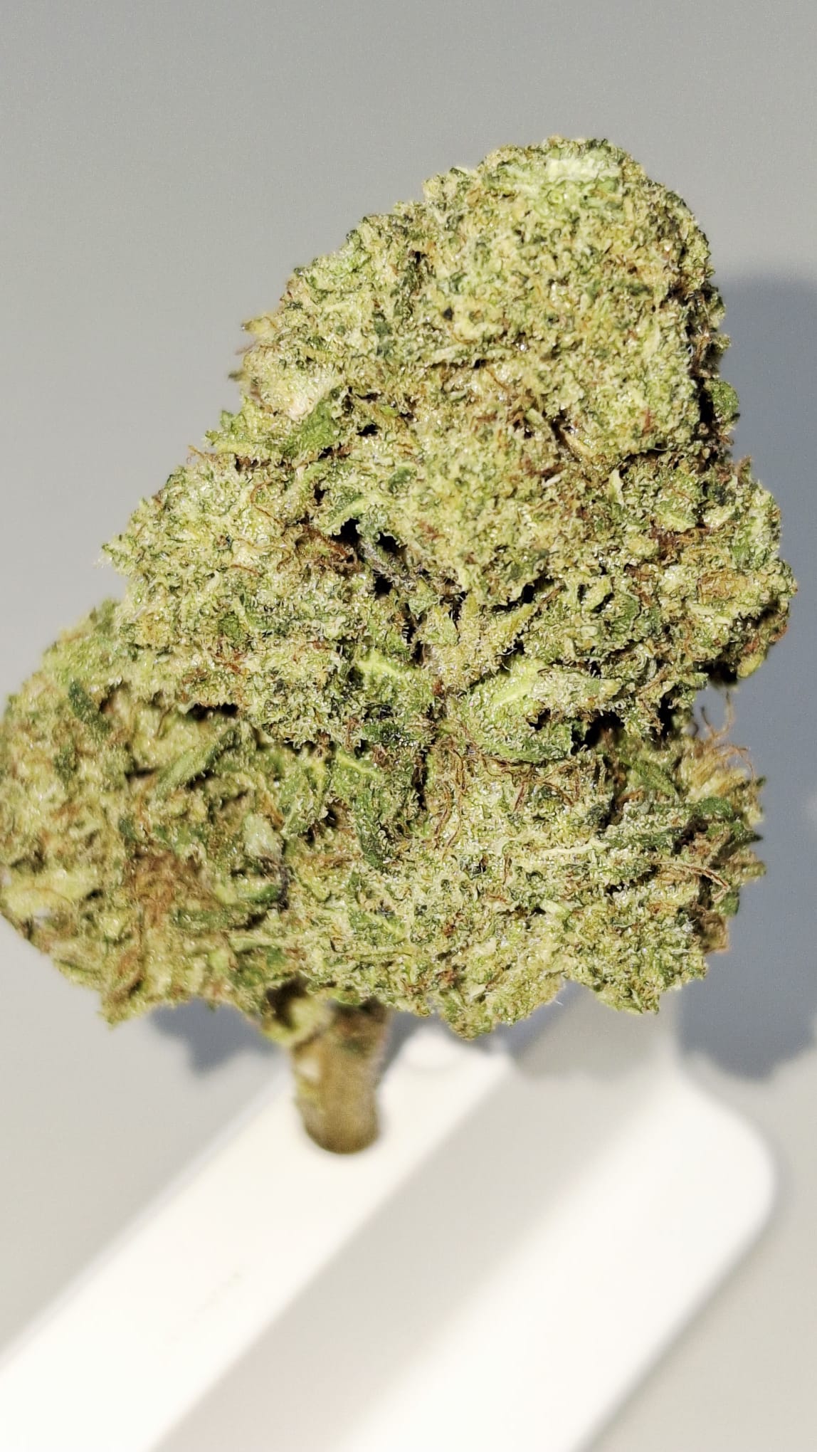 Diesel Og CBD