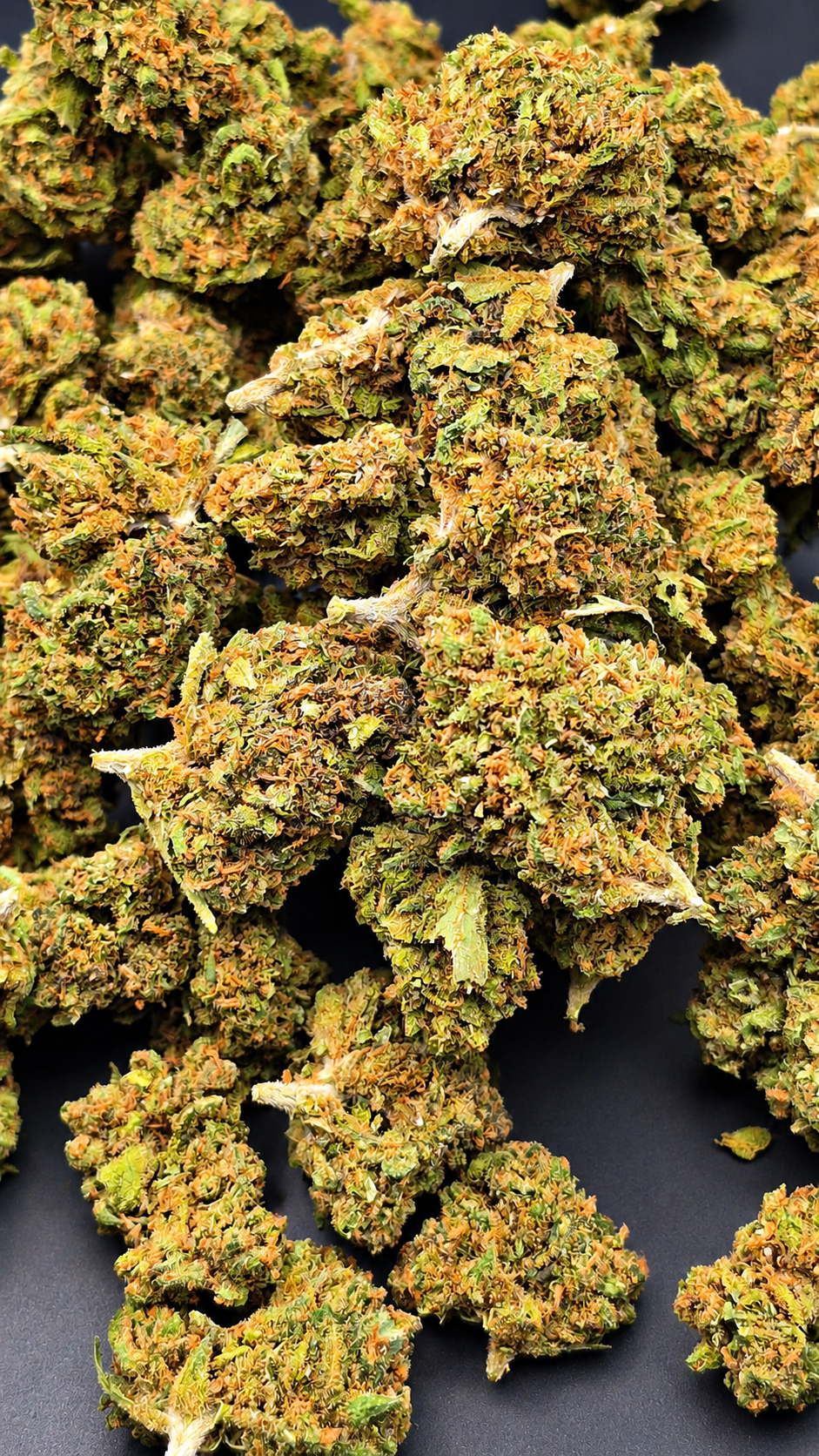 AMNÉSIA SMALL BUD CBD