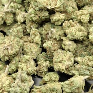 GELATO SMALL BUD 10 Gr